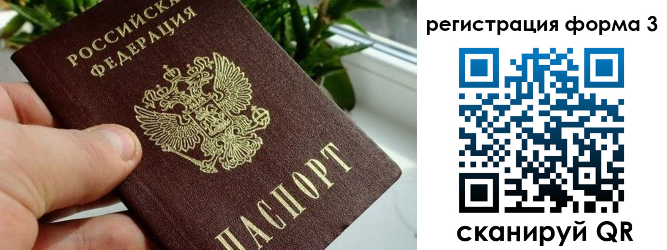 прописка штамп в Покрове